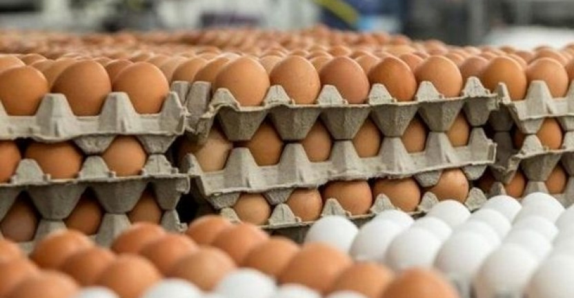 О производстве яиц в 2019 году