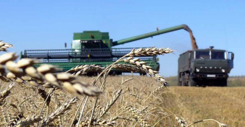 Уборка зерновых и зернобобовых культур