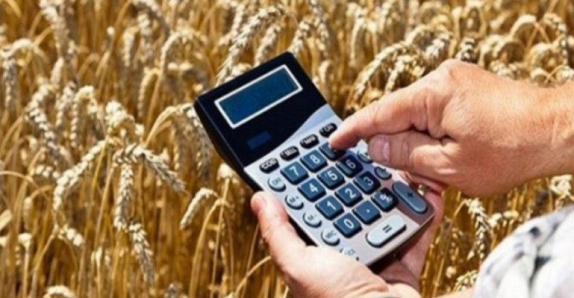 О финансовых результатах деятельности организаций сельского хозяйства