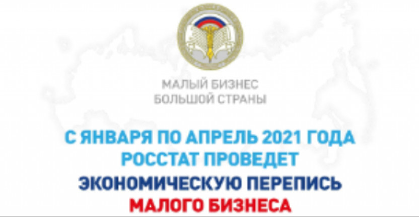 Экономическая перепись малого бизнеса 2021