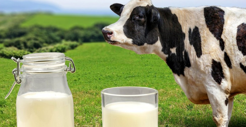 Об объемах производства молока