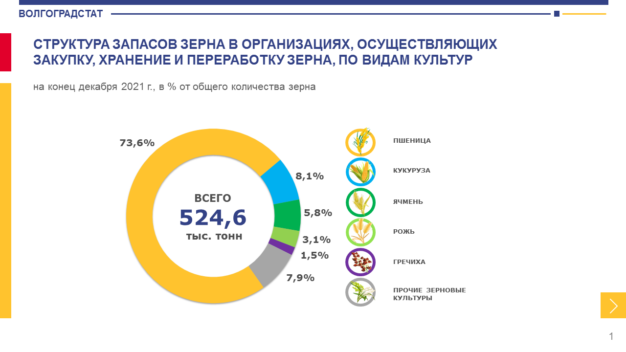 Инфографика