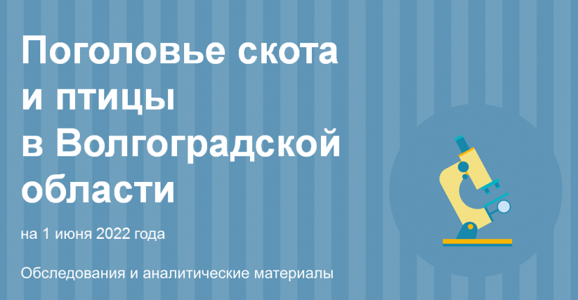 Поголовье скота и птицы в Волгоградской области