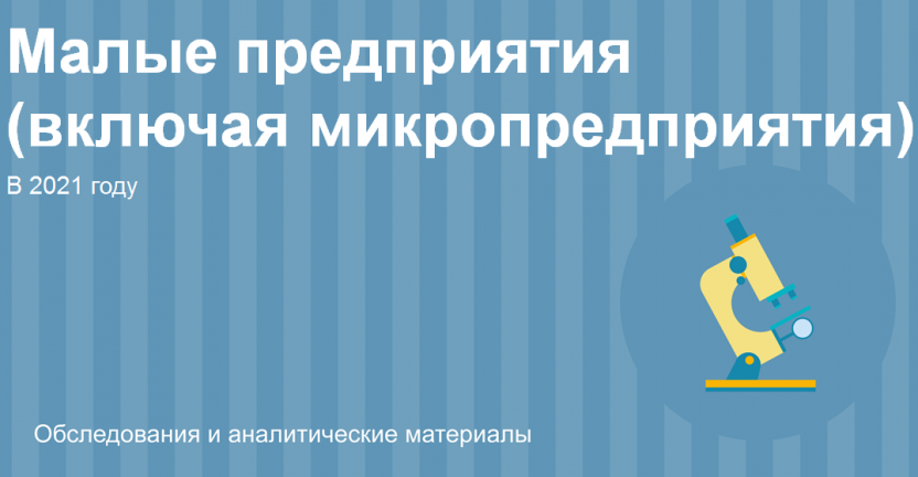 Малые предприятия (включая микропредприятия)* в 2021 году