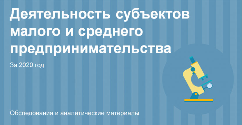 Итоги сплошного статистического наблюдения за деятельностью субъектов малого и среднего предпринимательства по Волгоградской области