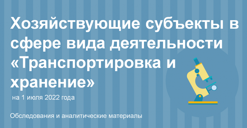 Хозяйствующие субъекты в сфере вида деятельности «Транспортировка и хранение»