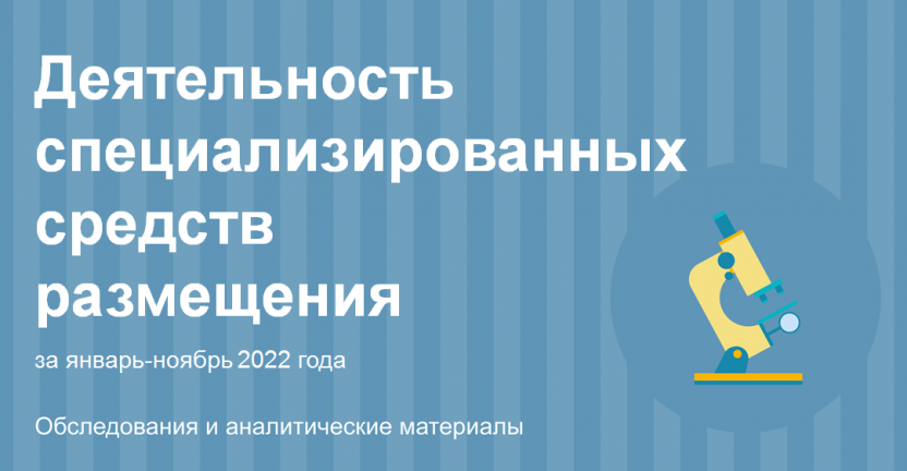 Деятельность специализированных  средств размещения