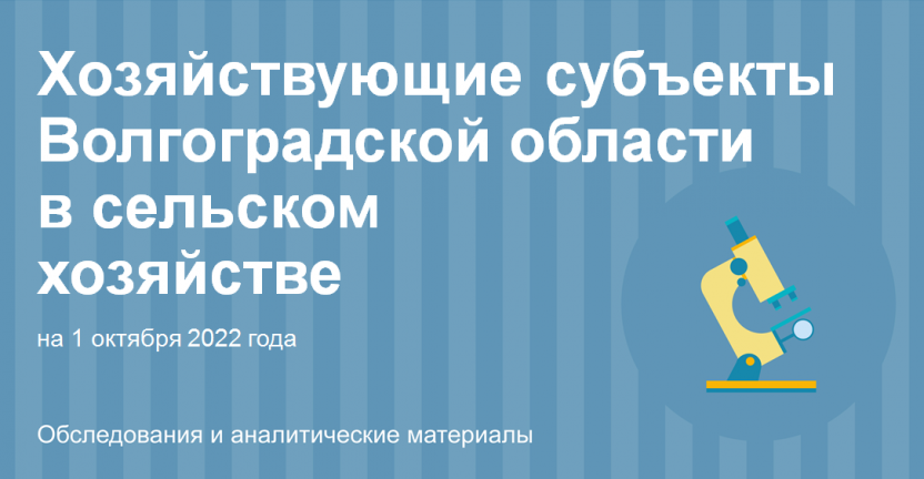 Хозяйствующие субъекты Волгоградской области в сельском хозяйстве