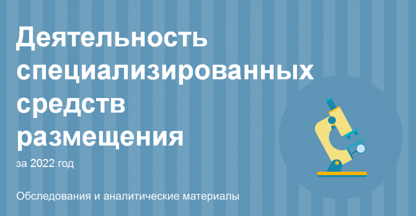 Деятельность специализированных средств размещения