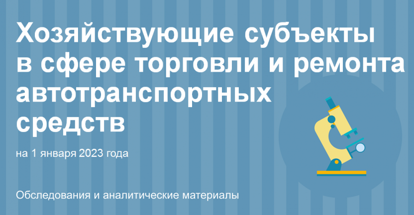 Хозяйствующие субъекты в сфере торговли и ремонта автотранспортных средств