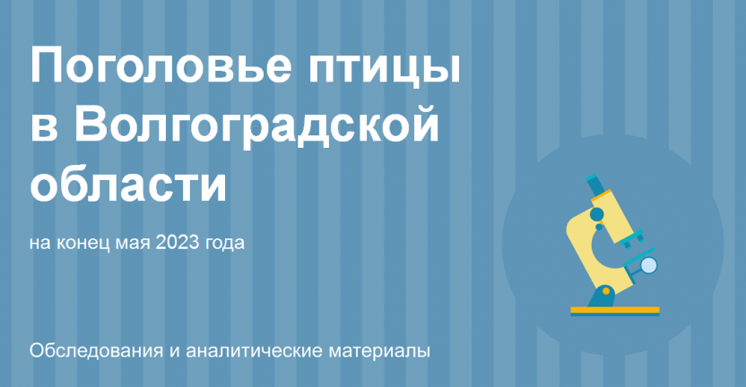 Поголовье птицы в Волгоградской области