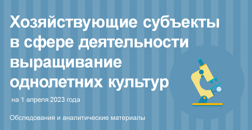 Хозяйствующие субъекты в сфере деятельности выращивание однолетних культур