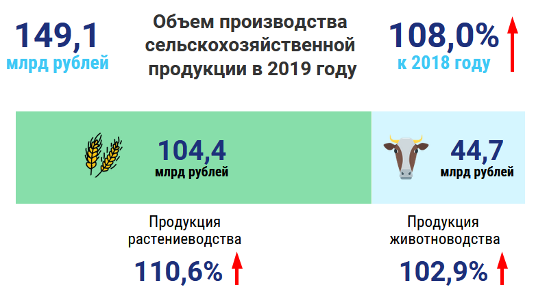 инфографика